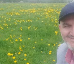 Almanya’da mükemmel bir şifa deposu olan karahindiba zamanı