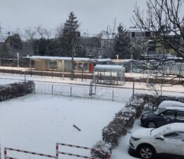 Almanya güne karla uyandı