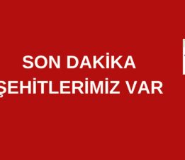 Son dakika! Şehitlerimiz var