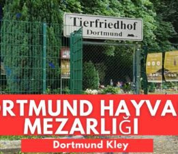 Dortmund Hayvan Mezarlığı /Tierfriedhof Dortmund